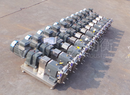 美國(guó)轉(zhuǎn)子泵